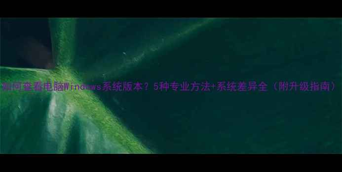 图片 如何查看电脑Windows系统版本？5种专业方法+系统差异全（附升级指南）