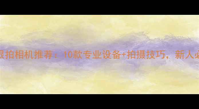 图片 婚礼跟拍相机推荐：10款专业设备+拍摄技巧，新人必看！