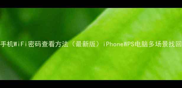 图片 安卓手机WiFi密码查看方法（最新版）iPhoneWPS电脑多场景找回指南