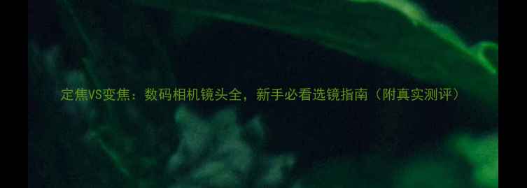 图片 定焦VS变焦：数码相机镜头全，新手必看选镜指南（附真实测评）