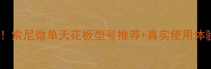 图片 实测！索尼微单天花板型号推荐+真实使用体验全2