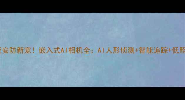 图片 家用智能安防新宠！嵌入式AI相机全：AI人形侦测+智能追踪+低照度拍摄2