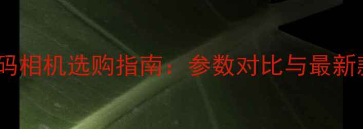 图片 宾得数码相机选购指南：参数对比与最新款推荐2