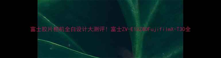 图片 富士胶片相机全白设计大测评！富士ZV-E10Z80FujifilmX-T30全