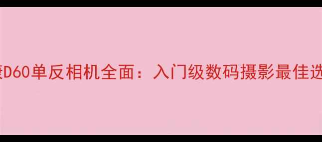 图片 尼康D60单反相机全面：入门级数码摄影最佳选择1