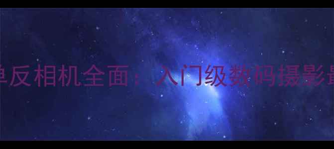 图片 尼康D60单反相机全面：入门级数码摄影最佳选择2