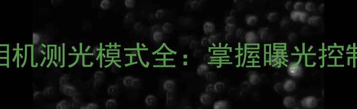 图片 尼康单反相机测光模式全：掌握曝光控制核心技巧
