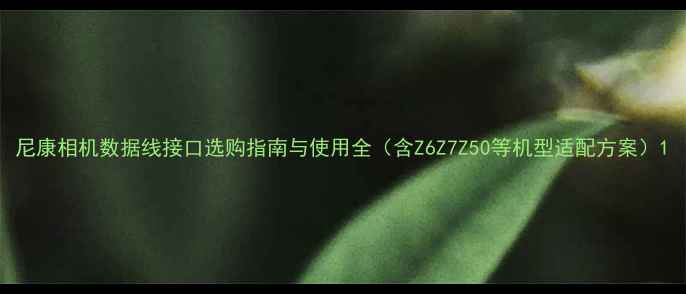 图片 尼康相机数据线接口选购指南与使用全（含Z6Z7Z50等机型适配方案）1