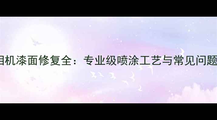 图片 尼康相机漆面修复全：专业级喷涂工艺与常见问题解答2