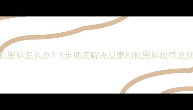 图片 尼康相机黑屏怎么办？5步彻底解决尼康相机黑屏故障及预防指南