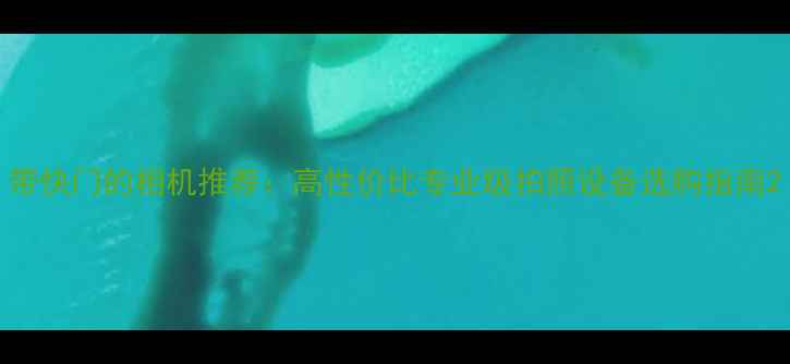 图片 带快门的相机推荐：高性价比专业级拍照设备选购指南2