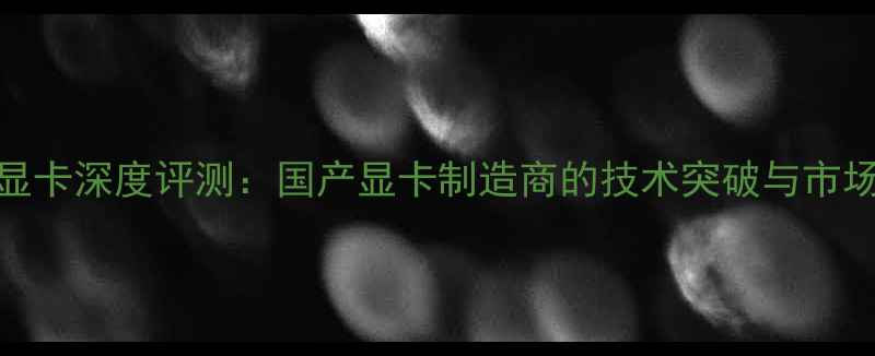 图片 度影驰显卡深度评测：国产显卡制造商的技术突破与市场表现全