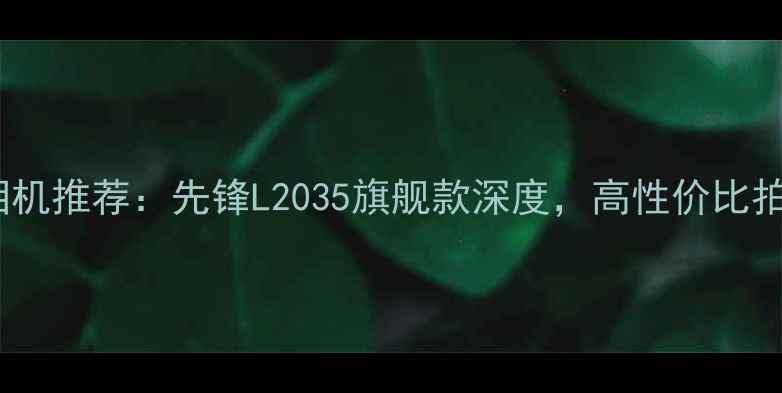 图片 度数码相机推荐：先锋L2035旗舰款深度，高性价比拍照神器1