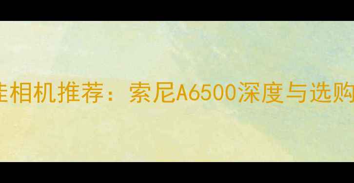 图片 度最佳相机推荐：索尼A6500深度与选购指南1