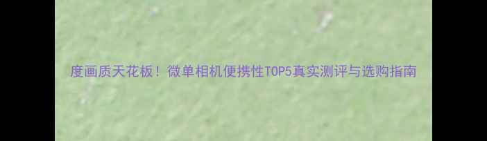 图片 度画质天花板！微单相机便携性TOP5真实测评与选购指南