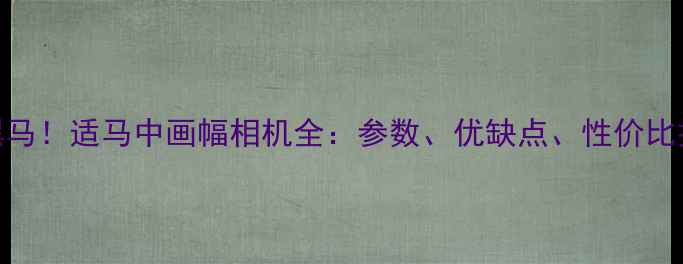 图片 度黑马！适马中画幅相机全：参数、优缺点、性价比推荐