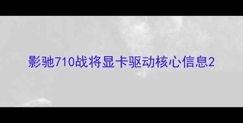 图片 影驰710战将显卡驱动核心信息2