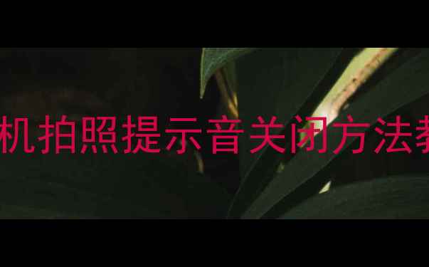 图片 彻底解决小米4相机拍照提示音关闭方法教程（图文详解）