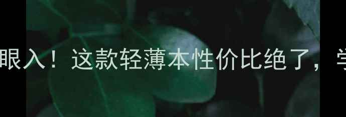 图片 微微同款电脑闭眼入！这款轻薄本性价比绝了，学生党看这里✨1