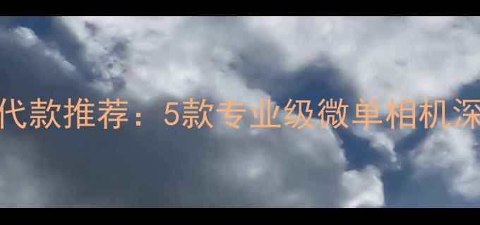 图片 必入！莱卡M系列替代款推荐：5款专业级微单相机深度测评与选购指南2