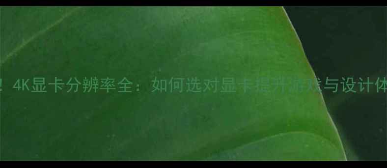 图片 必看！4K显卡分辨率全：如何选对显卡提升游戏与设计体验？