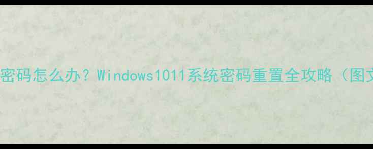 图片 忘记电脑密码怎么办？Windows1011系统密码重置全攻略（图文教程）2