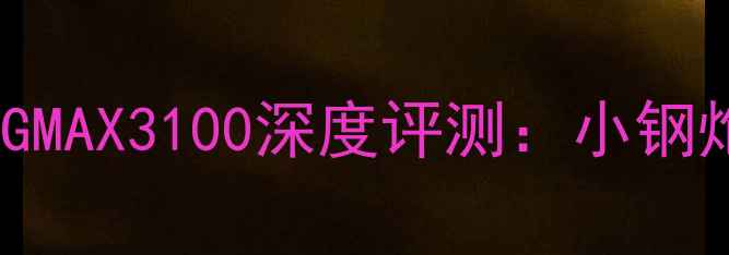 图片 性价比之王！IntelGMAX3100深度评测：小钢炮显卡到底香不香？