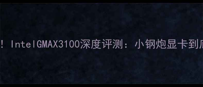 图片 性价比之王！IntelGMAX3100深度评测：小钢炮显卡到底香不香？1