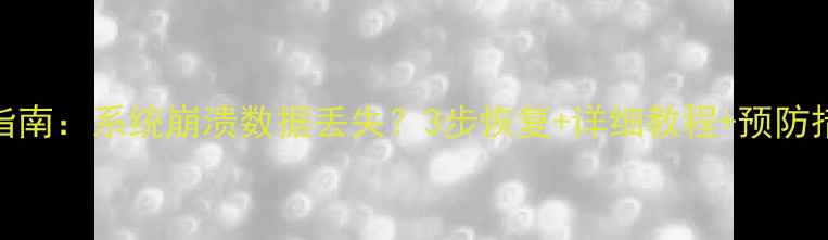 戴尔电脑恢复终极指南系统崩溃数据丢失3步恢复详细教程预防措施附最新方案