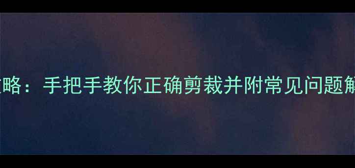 图片 手机SIM卡剪卡全攻略：手把手教你正确剪裁并附常见问题解答（含图解步骤）