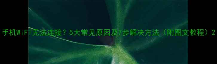 图片 手机WiFi无法连接？5大常见原因及7步解决方法（附图文教程）2