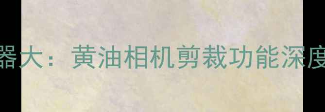 手机修图利器大黄油相机剪裁功能深度与实战指南