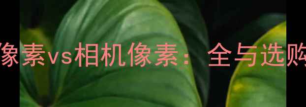 图片 手机像素vs相机像素：全与选购指南