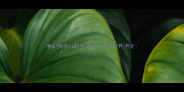 图片 手机像素vs相机像素：全与选购指南1