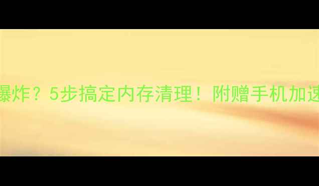 图片 手机内存爆炸？5步搞定内存清理！附赠手机加速秘籍📱✨
