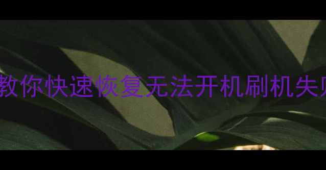 图片 手机变砖了别慌！5步教你快速恢复无法开机刷机失败的华为小米苹果手机