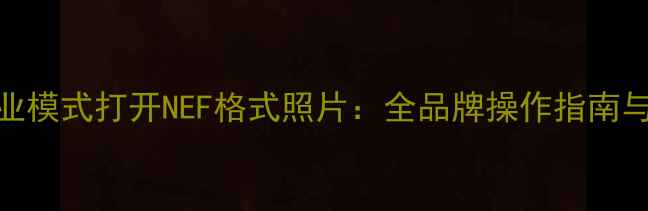 图片 手机如何用专业模式打开NEF格式照片：全品牌操作指南与后期处理技巧