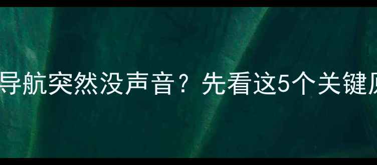 图片 手机导航突然没声音？先看这5个关键原因2