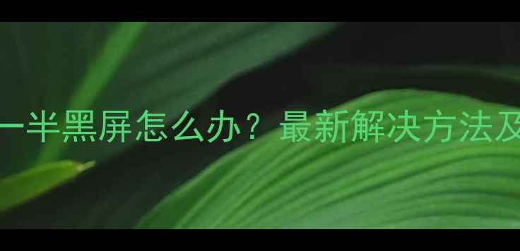图片 手机屏幕一半黑屏怎么办？最新解决方法及修复指南