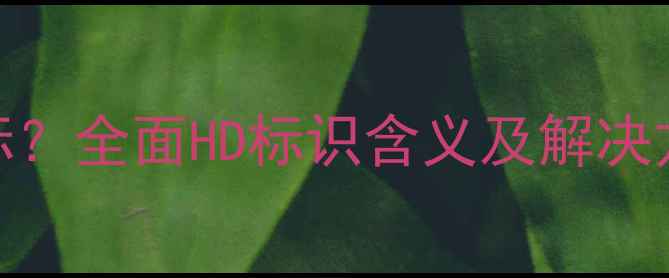 图片 手机屏幕显示HD图标？全面HD标识含义及解决方法（附图文教程）