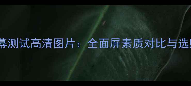 图片 手机屏幕测试高清图片：全面屏素质对比与选购指南2