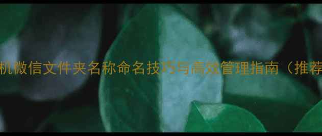 图片 手机微信文件夹名称命名技巧与高效管理指南（推荐）