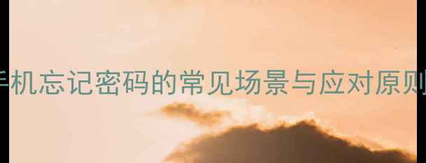 图片 手机忘记密码的常见场景与应对原则1