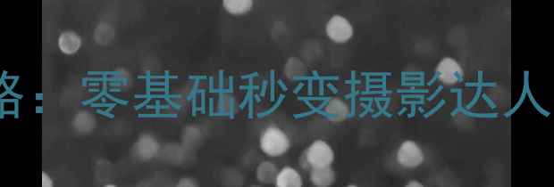 图片 手机拍照对焦技巧全攻略：零基础秒变摄影达人，轻松拍出专业级大片1