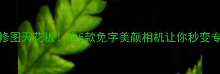 图片 手机摄影修图天花板！这5款免字美颜相机让你秒变专业摄影师