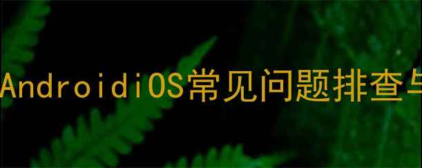 图片 手机无法打开图片全解决指南：AndroidiOS常见问题排查与修复方案（附系统更新技巧）2