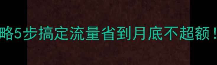 图片 手机流量设置全攻略5步搞定流量省到月底不超额！附最新省流技巧2