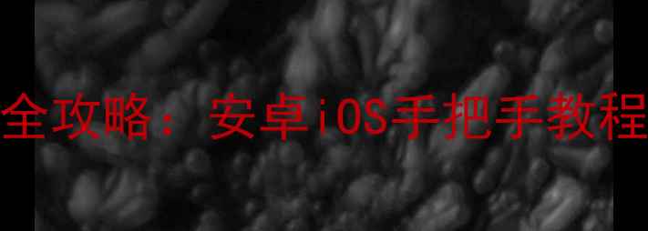 图片 手机浏览器主页设置全攻略：安卓iOS手把手教程及防儿童误操作技巧