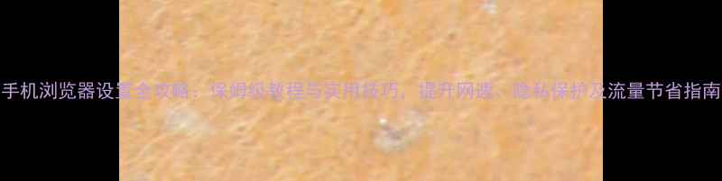 图片 手机浏览器设置全攻略：保姆级教程与实用技巧，提升网速、隐私保护及流量节省指南