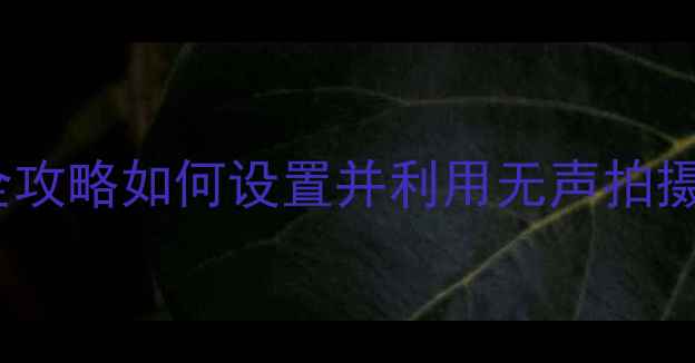 图片 手机相机静音功能全攻略如何设置并利用无声拍摄技巧提升拍摄体验1